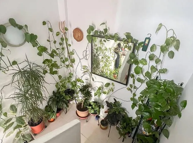 Apartman Central Casa Jose 1