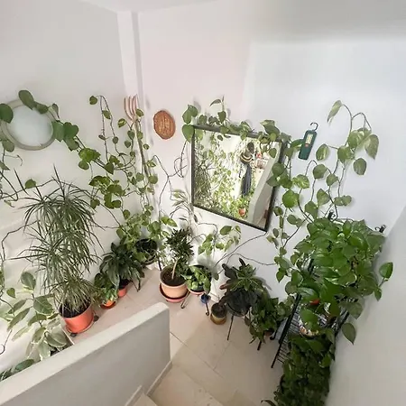 Apartment Central Casa Jose 1